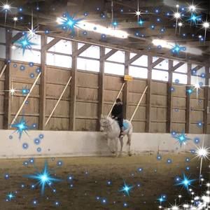 Meet your Posher, Jill